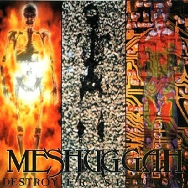 Destroy Erase Improve album art